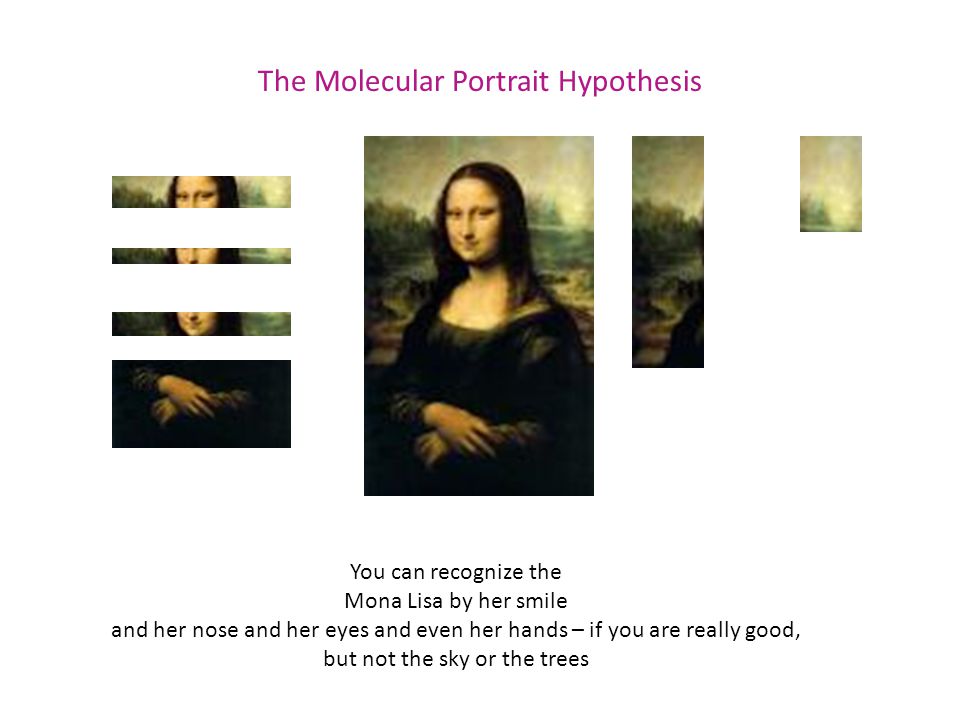 The Molecular Portrait Hypothesis You can recognize the Mona Lisa by her smile and her nose and her eyes and even her hands – if you are really good, but not the sky or the trees