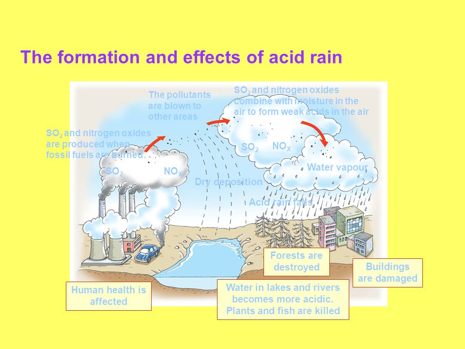 The formation and effects of acid rain SO 2 and nitrogen oxides combine with moisture in the air to form weak acids in the air SO 2 and nitrogen oxides are produced when fossil fuels are burned The pollutants are blown to other areas Water vapour Buildings are damaged SO 2 NO X SO 2 NO X Dry deposition Forests are destroyed Water in lakes and rivers becomes more acidic.