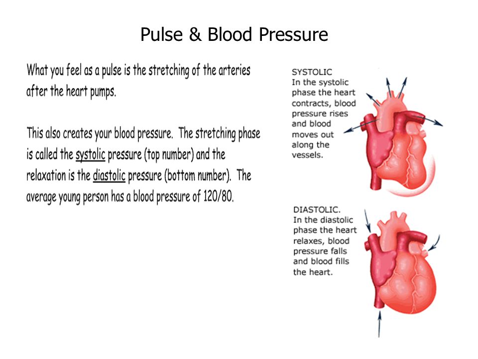 Pulse & Blood Pressure