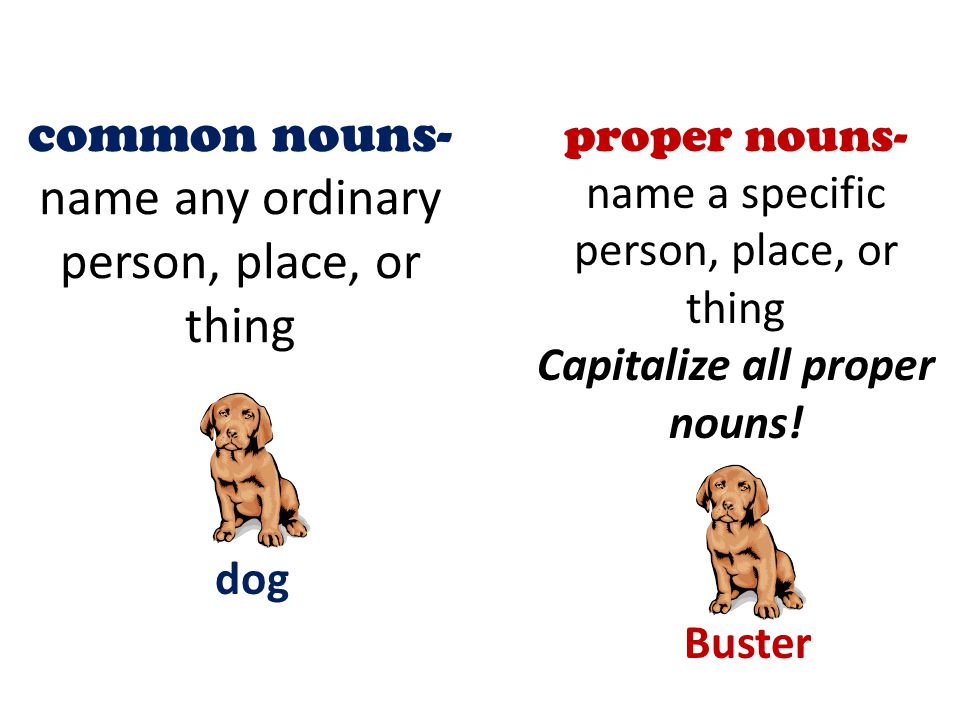 Unit 2 English Review. NOUNS name a person, place, or thing girl school dog. - ppt download