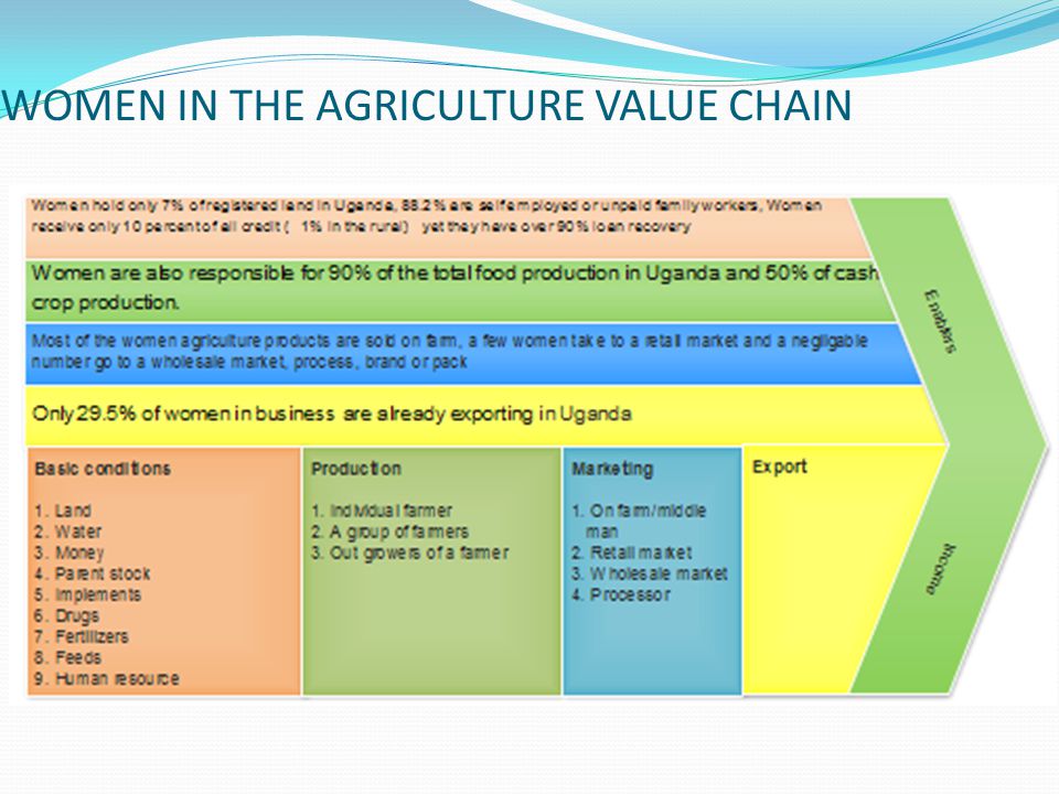 WOMEN IN THE AGRICULTURE VALUE CHAIN