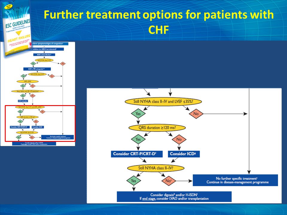 Further treatment options for patients with CHF