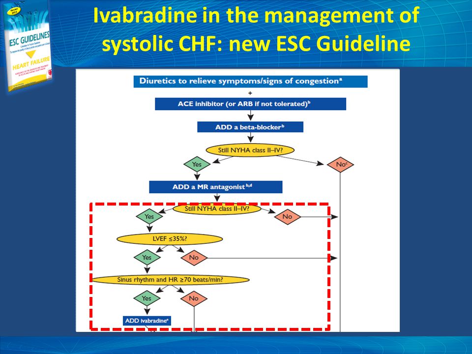 Ivabradine in the management of systolic CHF: new ESC Guideline