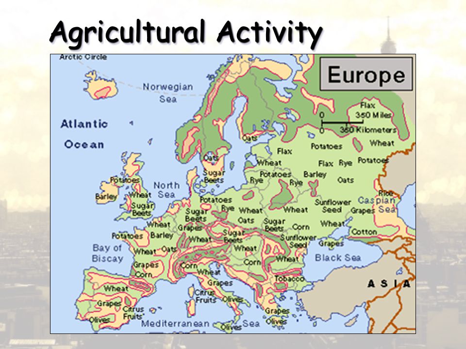 Agricultural Activity