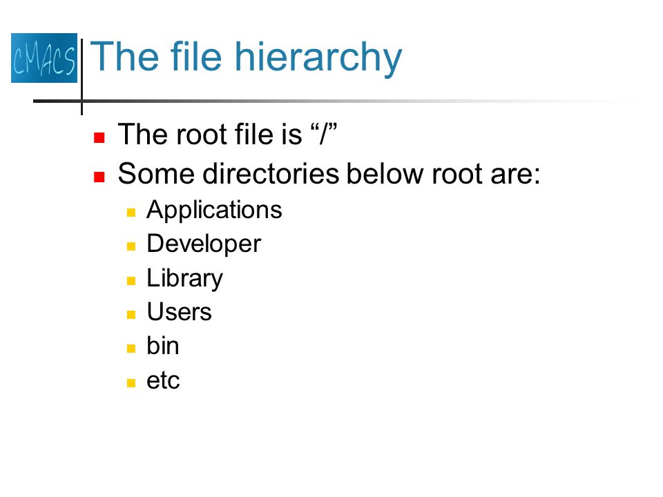 The file hierarchy The root file is / Some directories below root are: Applications Developer Library Users bin etc