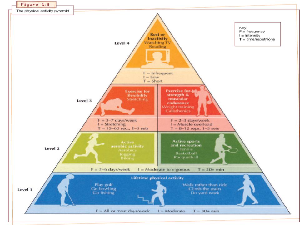 Activity level. Пирамида активности. Физическая пирамида. Пирамида физ активности. Пирамида физической активности воз.