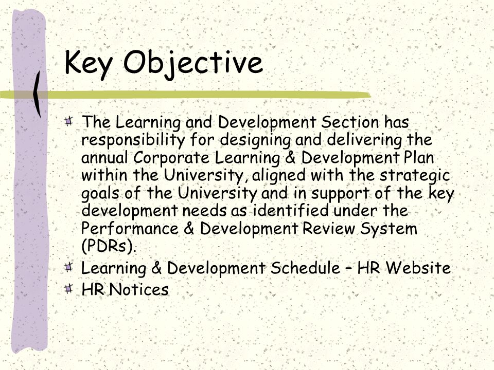 Key Objective The Learning and Development Section has responsibility for designing and delivering the annual Corporate Learning & Development Plan within the University, aligned with the strategic goals of the University and in support of the key development needs as identified under the Performance & Development Review System (PDRs).