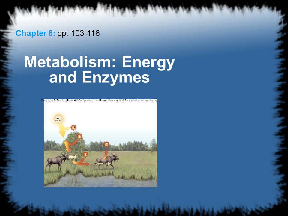 1 Chapter 6: pp Metabolism: Energy and Enzymes Copyright © The McGraw-Hill Companies, Inc.