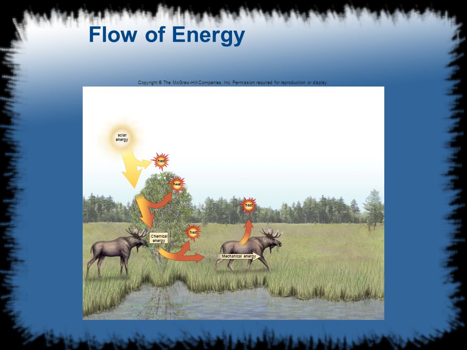 4 Flow of Energy solar energy heat Mechanical energy Chemical energy Copyright © The McGraw-Hill Companies, Inc.
