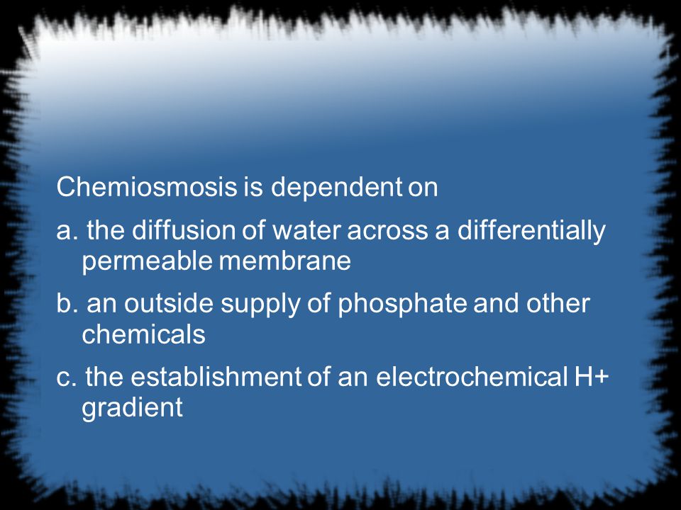 Chemiosmosis is dependent on a.