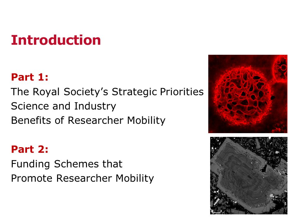 Introduction Part 1: The Royal Society’s Strategic Priorities Science and Industry Benefits of Researcher Mobility Part 2: Funding Schemes that Promote Researcher Mobility