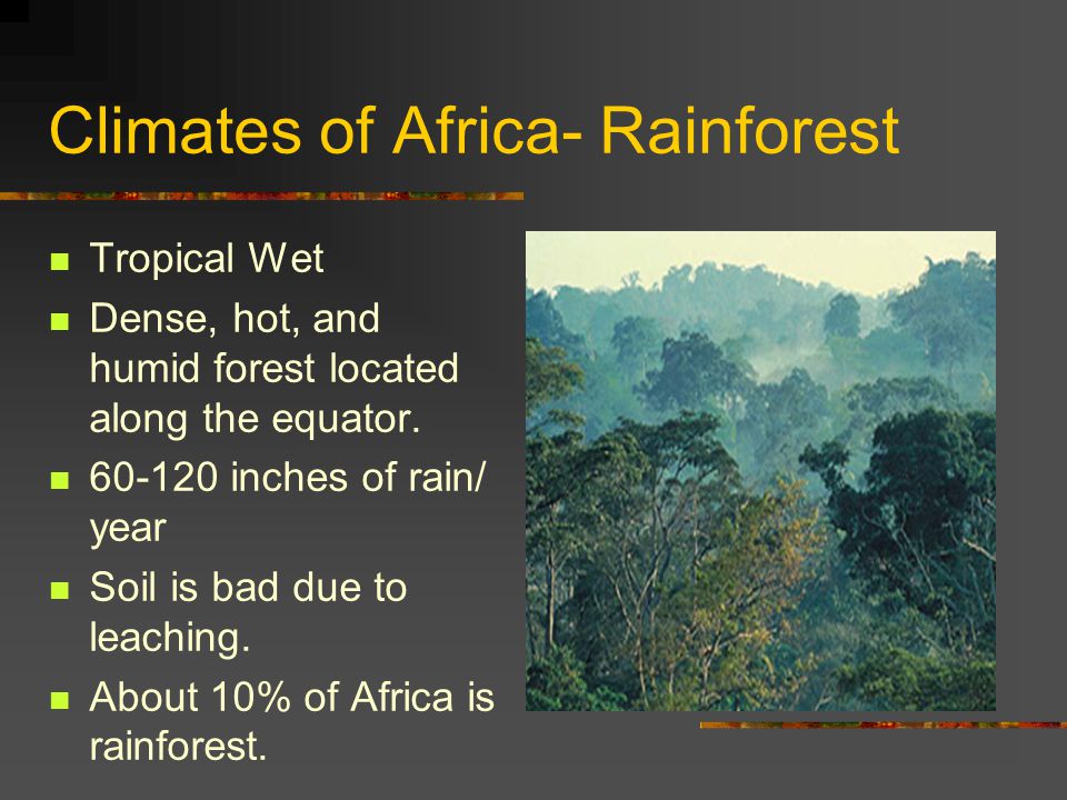 Climates of Africa- Rainforest Tropical Wet Dense, hot, and humid forest located along the equator.