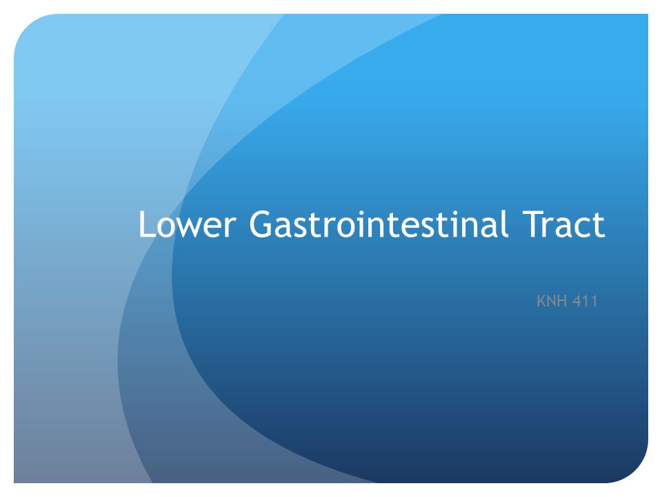 Lower Gastrointestinal Tract KNH 411