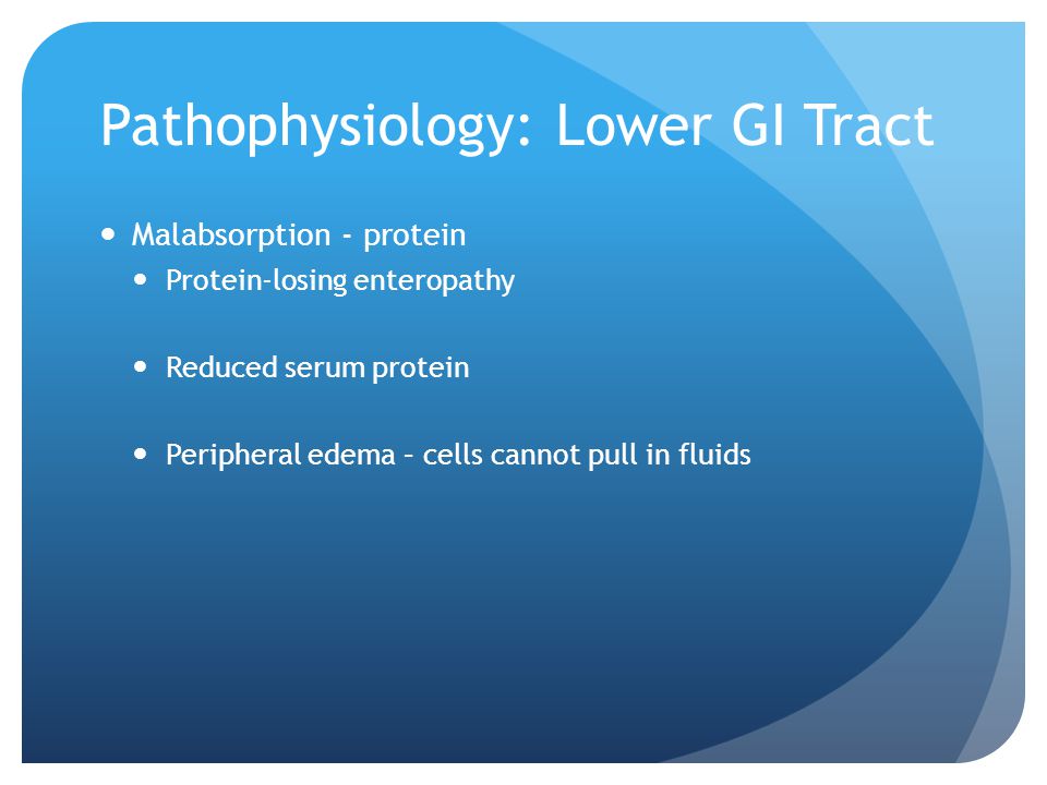 Pathophysiology: Lower GI Tract Malabsorption - protein Protein-losing enteropathy Reduced serum protein Peripheral edema – cells cannot pull in fluids