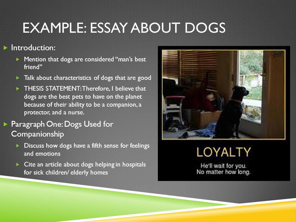 EXAMPLE: ESSAY ABOUT DOGS  Introduction:  Mention that dogs are considered man’s best friend  Talk about characteristics of dogs that are good  THESIS STATEMENT: Therefore, I believe that dogs are the best pets to have on the planet because of their ability to be a companion, a protector, and a nurse.