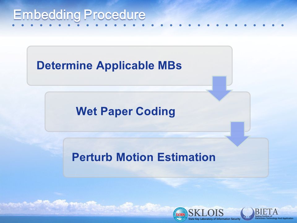 Embedding Procedure Determine Applicable MBsWet Paper CodingPerturb Motion Estimation