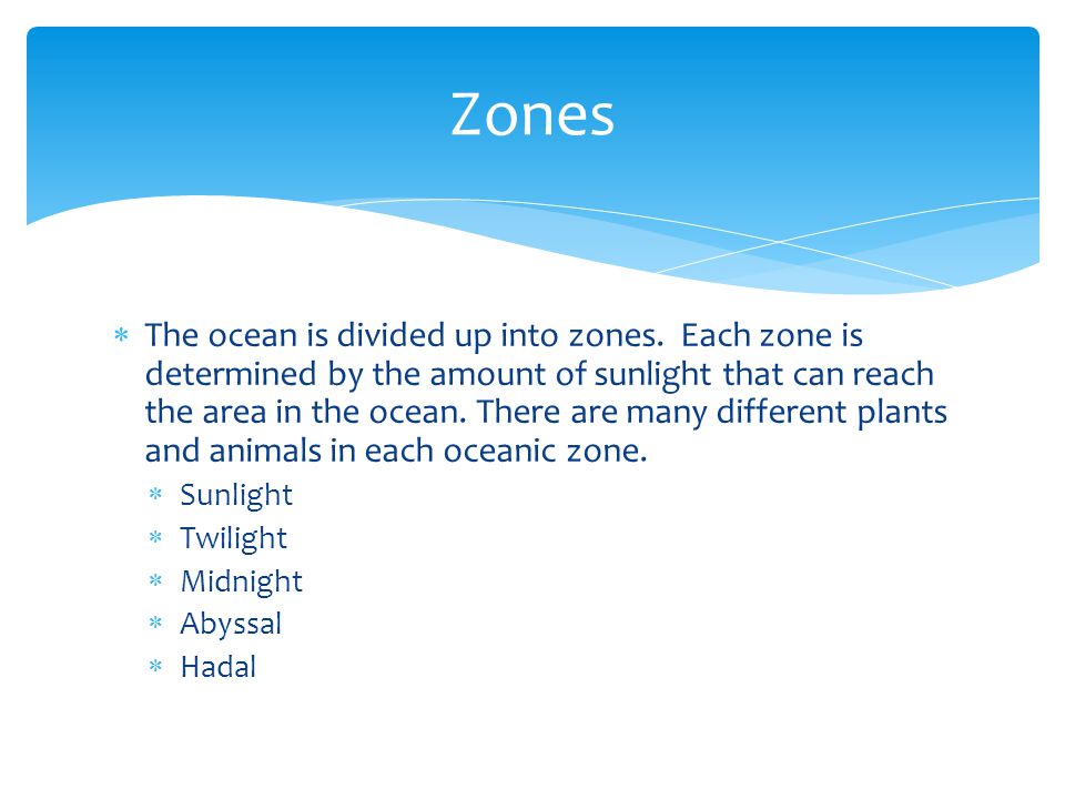  The ocean is divided up into zones.