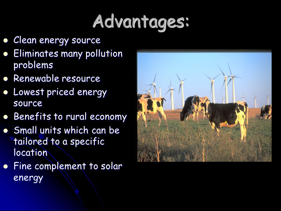 Advantages: Clean energy source Clean energy source Eliminates many pollution problems Eliminates many pollution problems Renewable resource Renewable resource Lowest priced energy source Lowest priced energy source Benefits to rural economy Benefits to rural economy Small units which can be tailored to a specific location Small units which can be tailored to a specific location Fine complement to solar energy Fine complement to solar energy