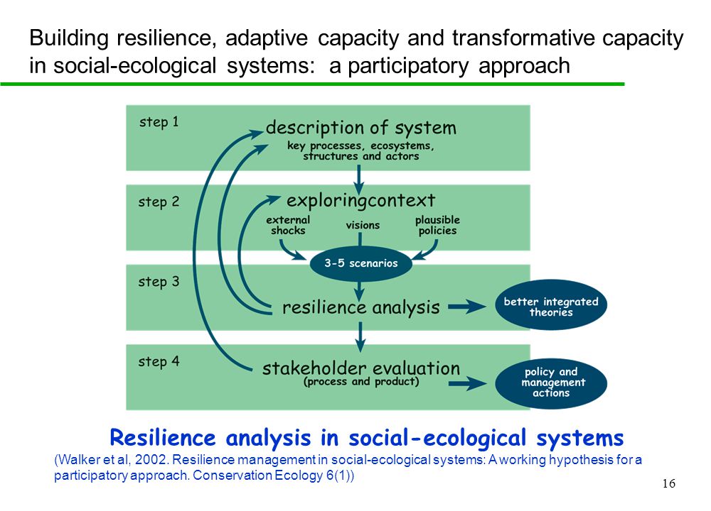 16 Resilience analysis in social-ecological systems (Walker et al, 2002.