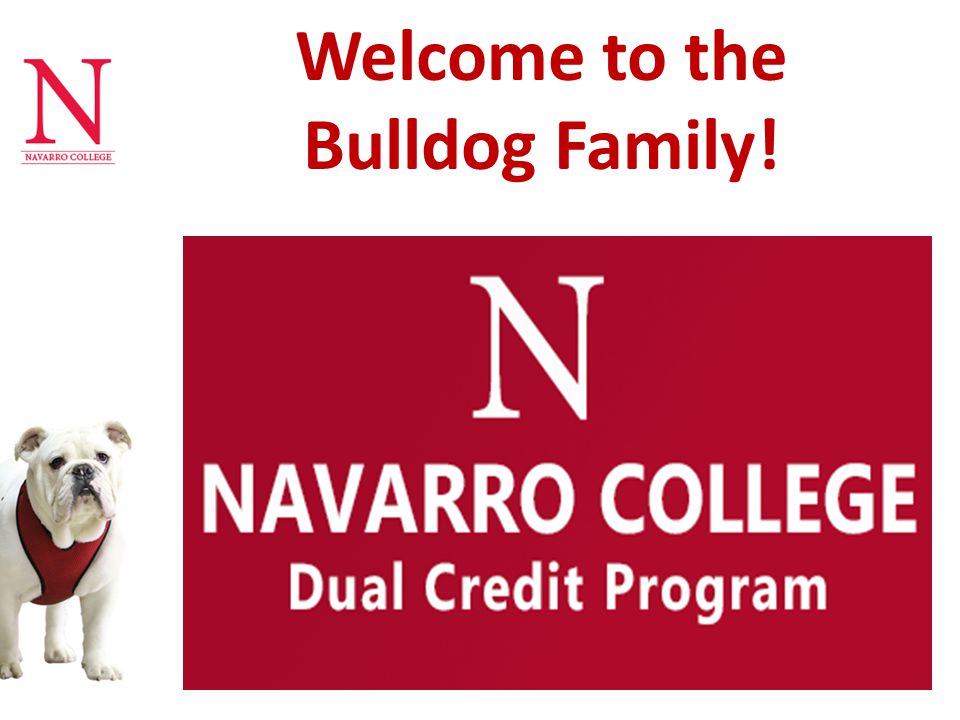 Welcome to the Bulldog Family!