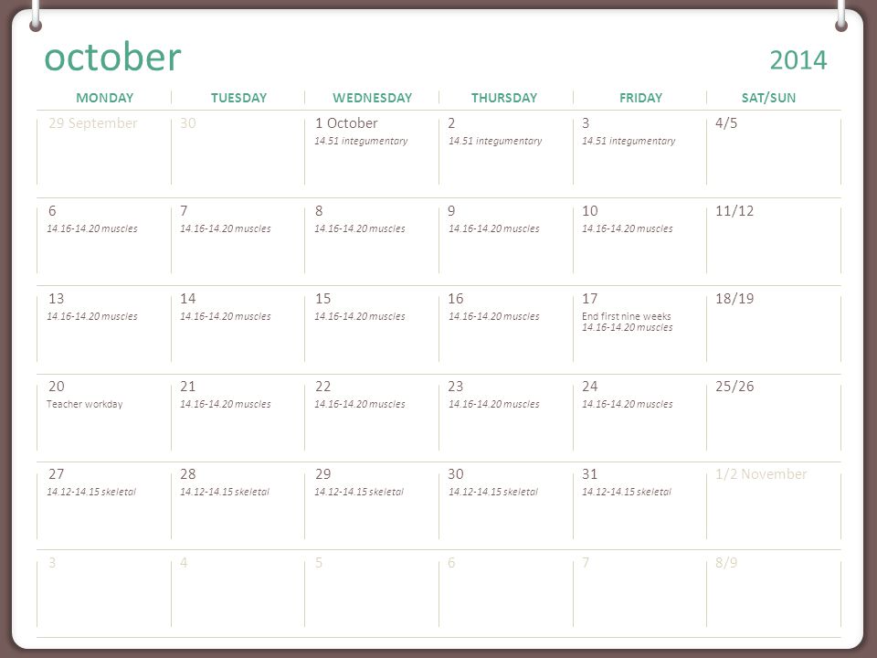MONDAYTUESDAYWEDNESDAYTHURSDAYFRIDAYSAT/SUN Note: You can print this template to use as a wall calendar.