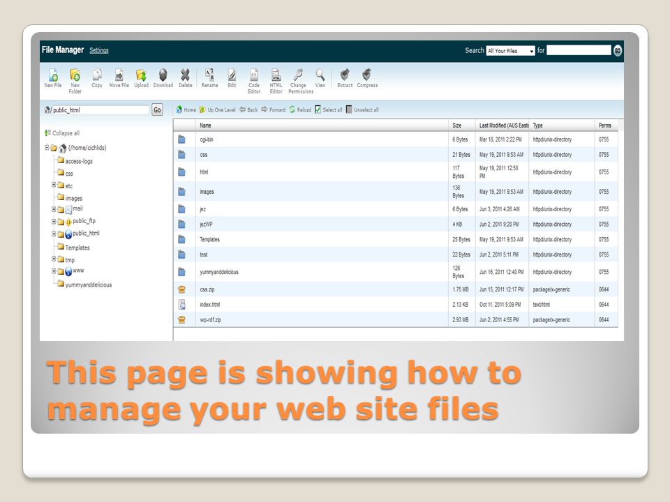 This page is showing how to manage your web site files