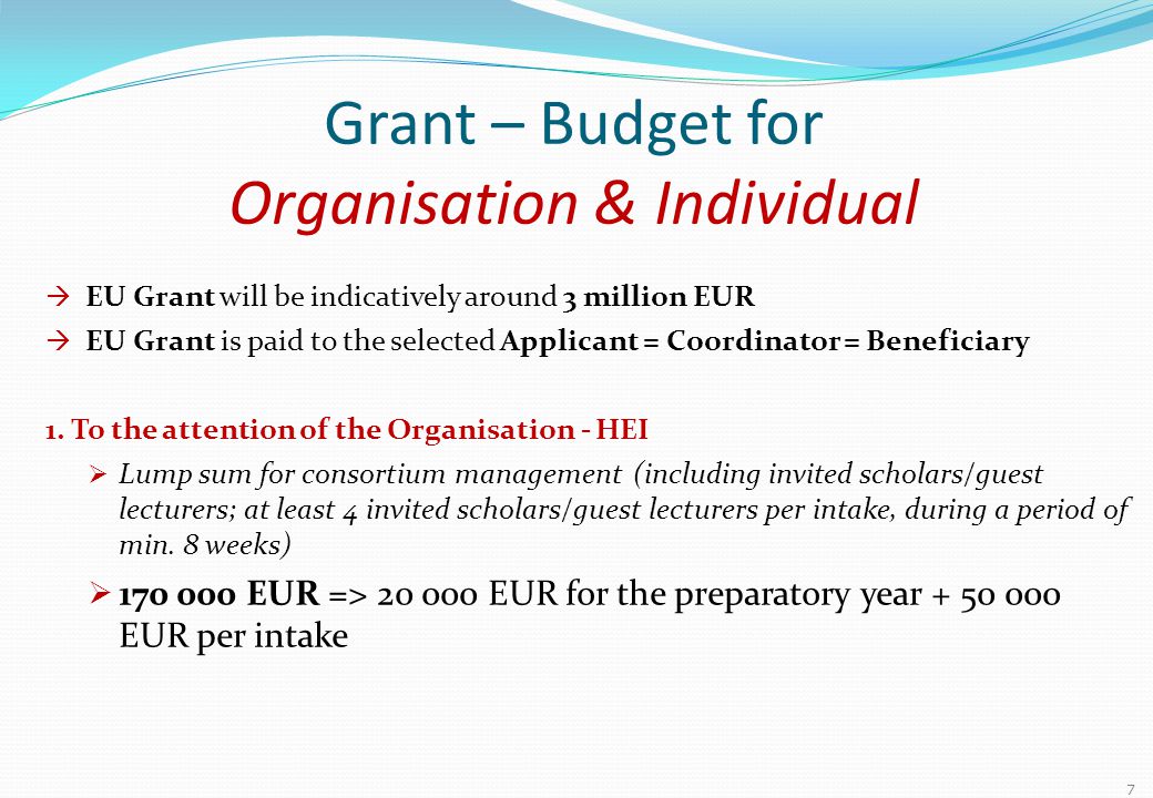 Grant – Budget for Organisation & Individual  EU Grant will be indicatively around 3 million EUR  EU Grant is paid to the selected Applicant = Coordinator = Beneficiary 1.