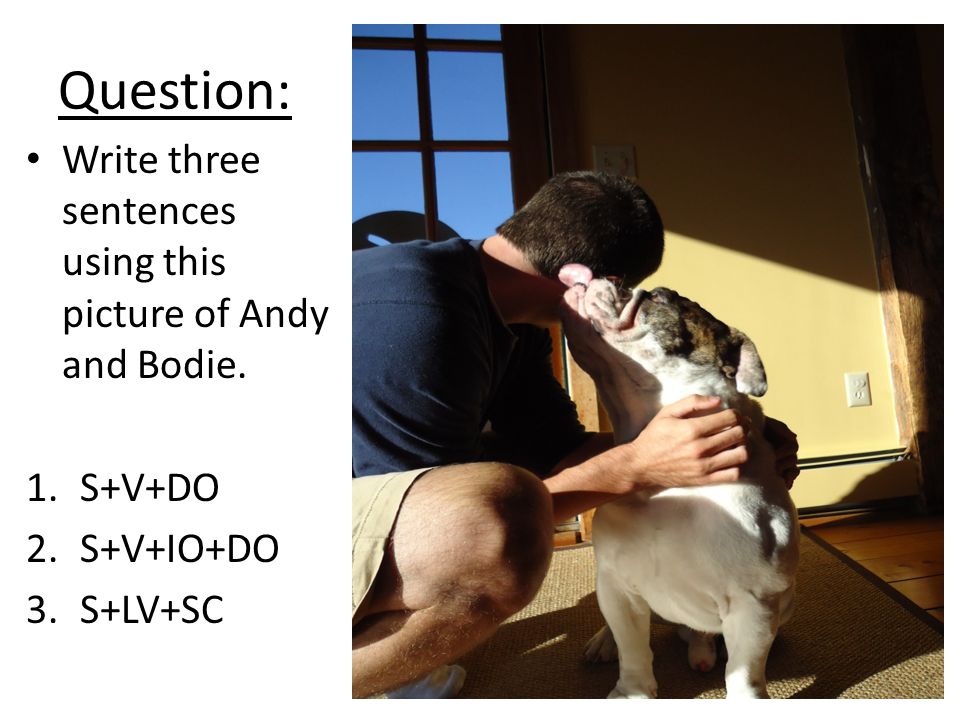 Question: Write three sentences using this picture of Andy and Bodie.