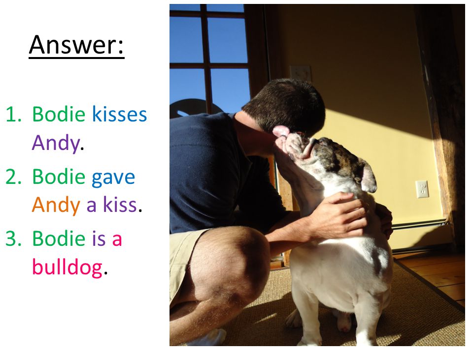 Answer: 1.Bodie kisses Andy. 2.Bodie gave Andy a kiss. 3.Bodie is a bulldog.