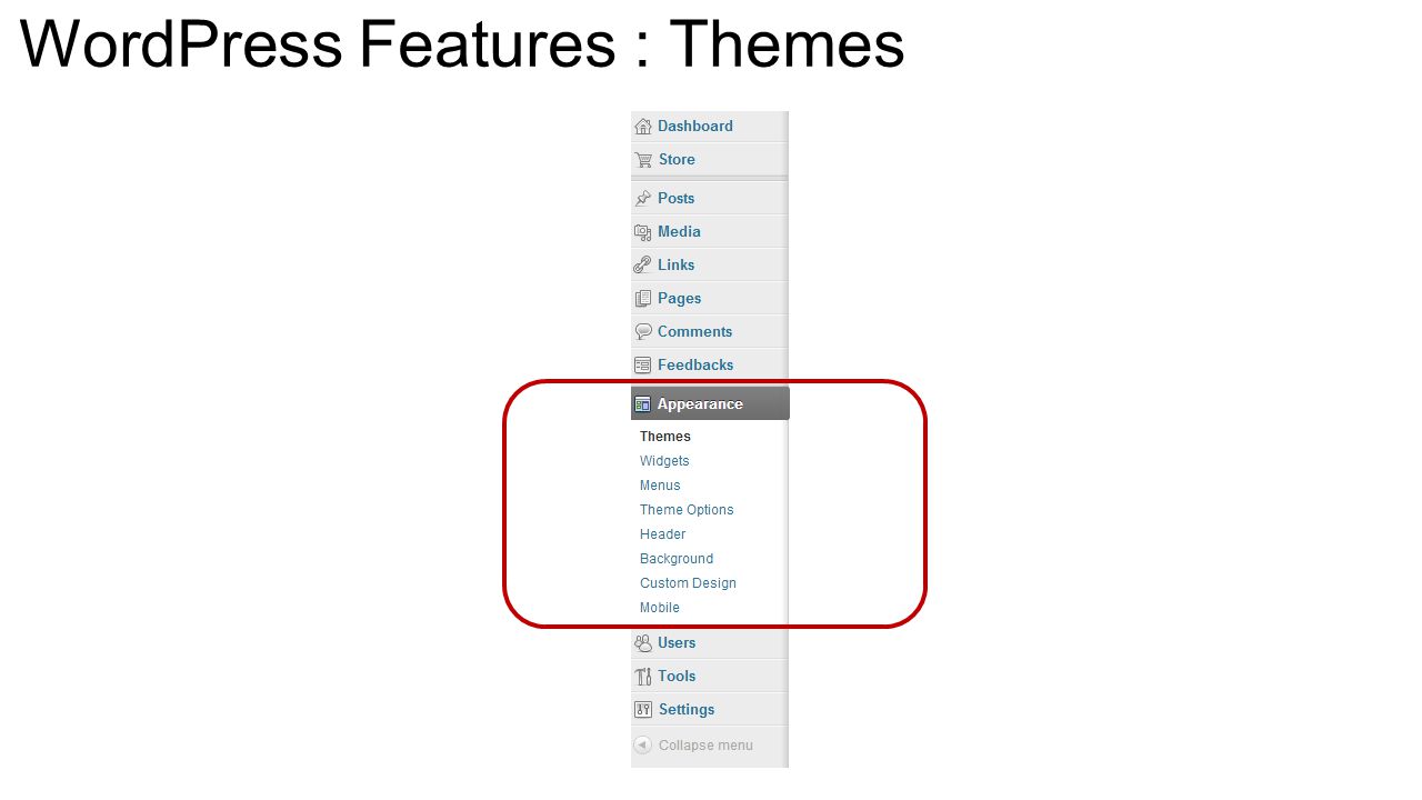 WordPress Features : Themes