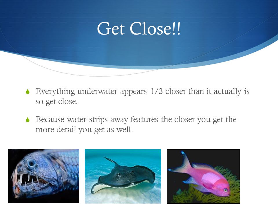 Get Close!.  Everything underwater appears 1/3 closer than it actually is so get close.
