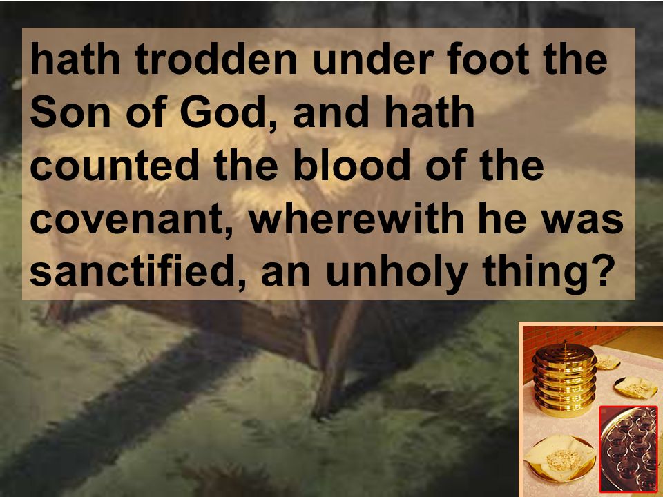 hath trodden under foot the Son of God, and hath counted the blood of the covenant, wherewith he was sanctified, an unholy thing