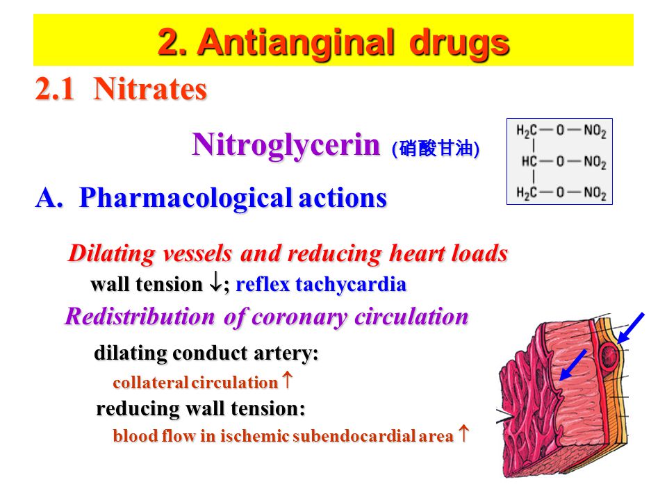 2.1 Nitrates Nitroglycerin ( 硝酸甘油 ) A.