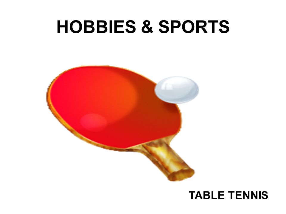HOBBIES & SPORTS TABLE TENNIS