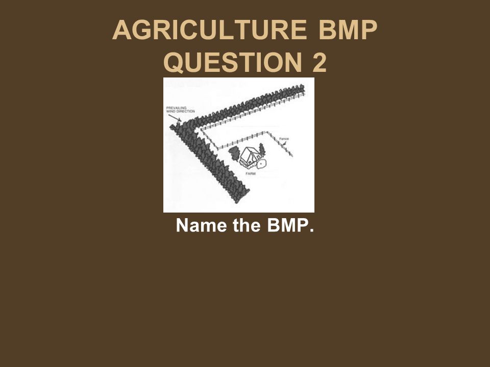 AGRICULTURE BMP QUESTION 2 Name the BMP.