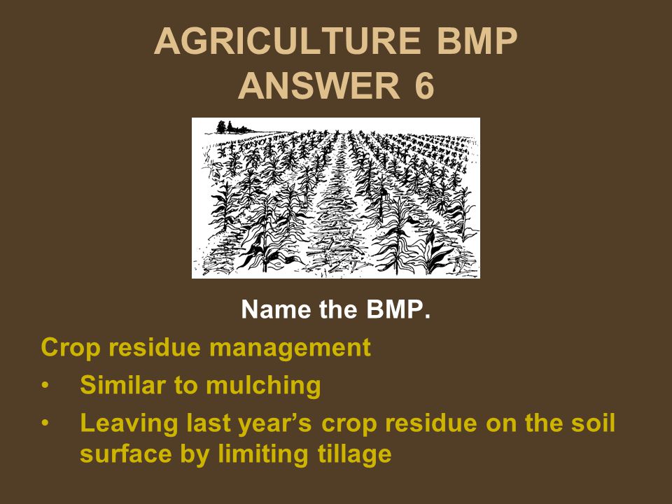 AGRICULTURE BMP ANSWER 6 Name the BMP.