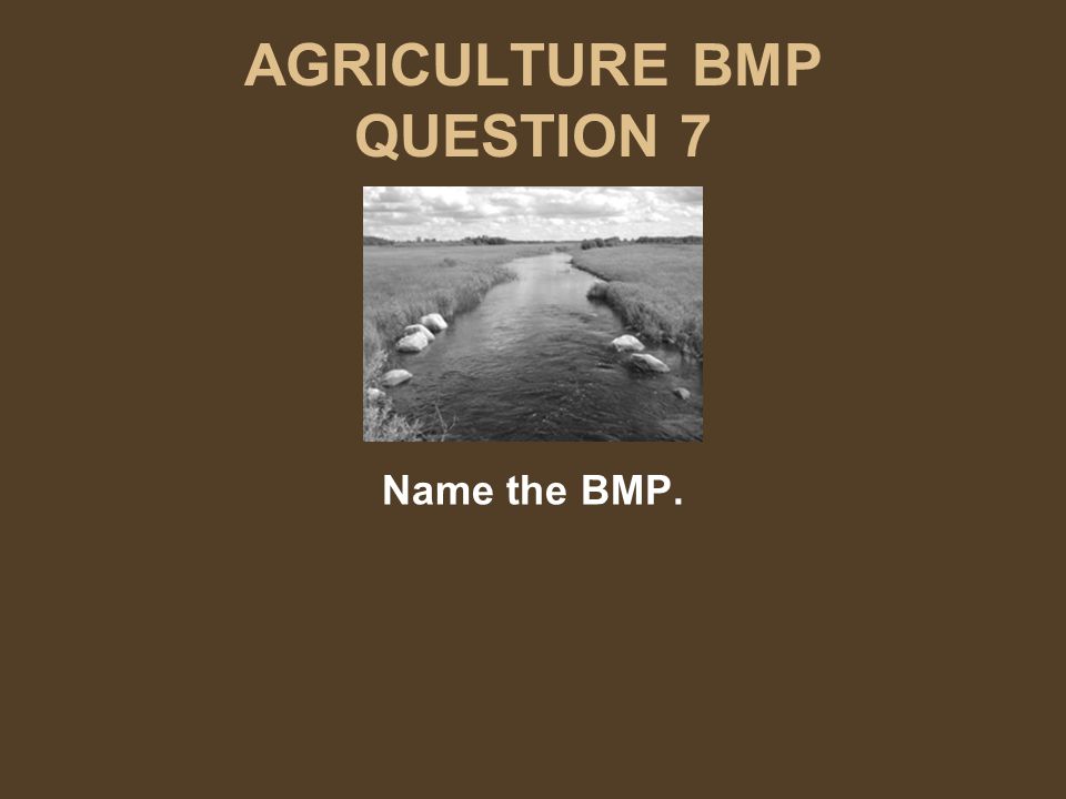 AGRICULTURE BMP QUESTION 7 Name the BMP.