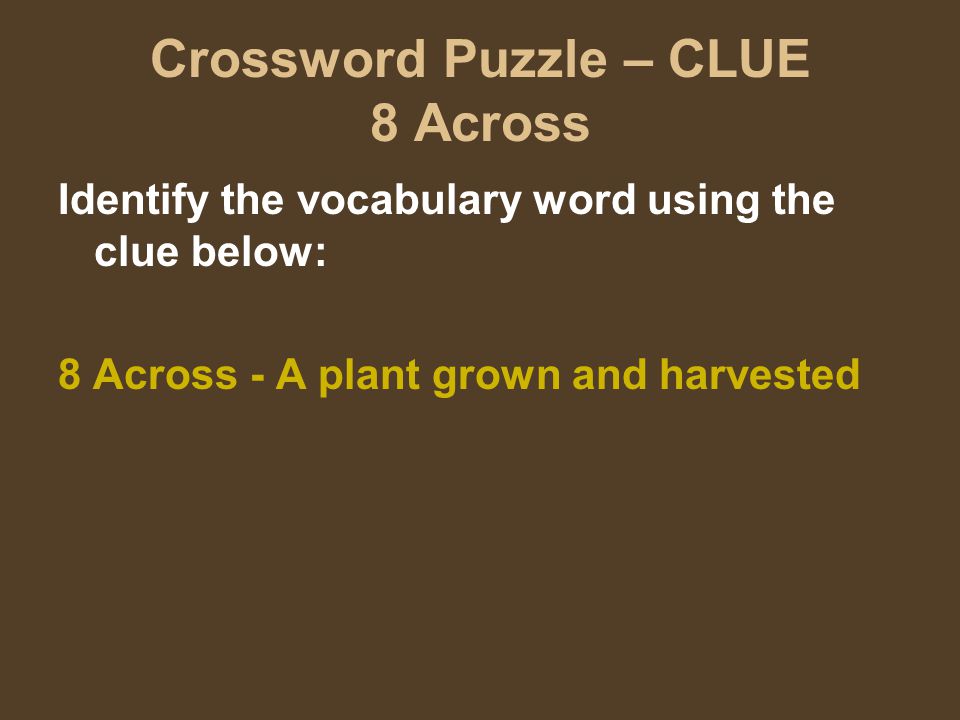 Crossword Puzzle – CLUE 8 Across Identify the vocabulary word using the clue below: 8 Across - A plant grown and harvested