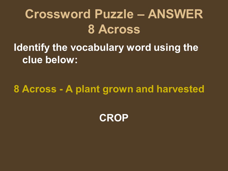Crossword Puzzle – ANSWER 8 Across Identify the vocabulary word using the clue below: 8 Across - A plant grown and harvested CROP
