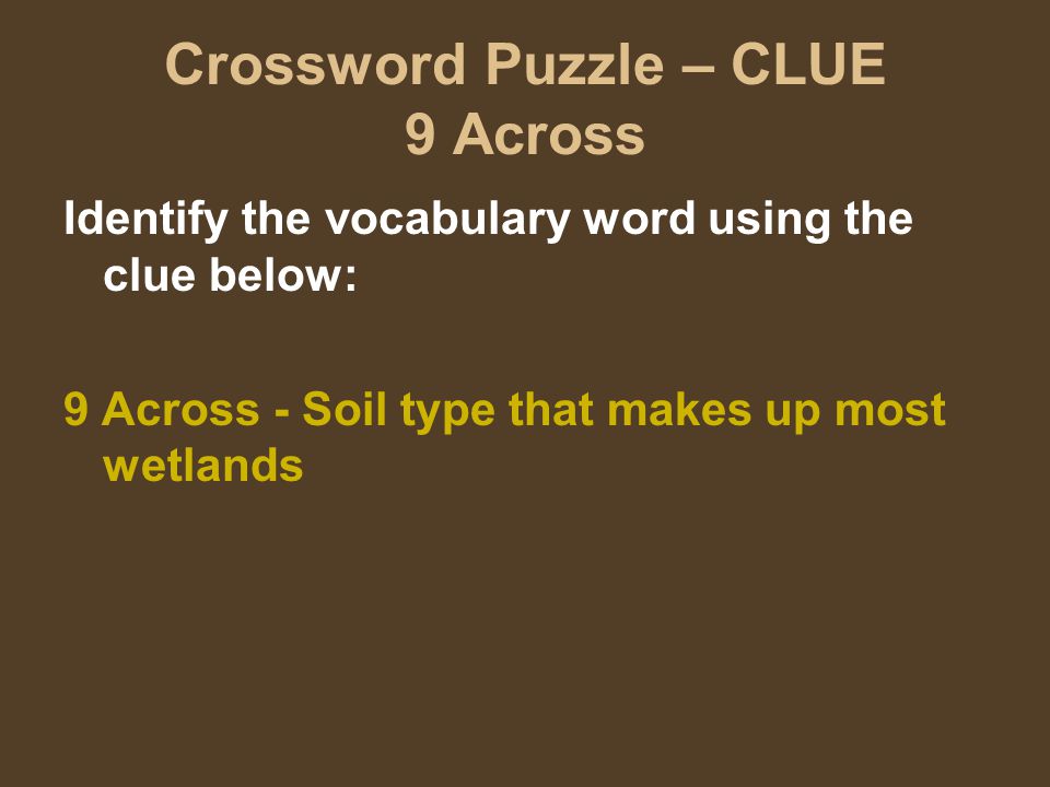 Crossword Puzzle – CLUE 9 Across Identify the vocabulary word using the clue below: 9 Across - Soil type that makes up most wetlands