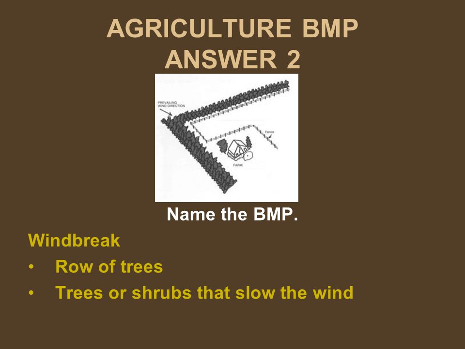 AGRICULTURE BMP ANSWER 2 Name the BMP. Windbreak Row of trees Trees or shrubs that slow the wind