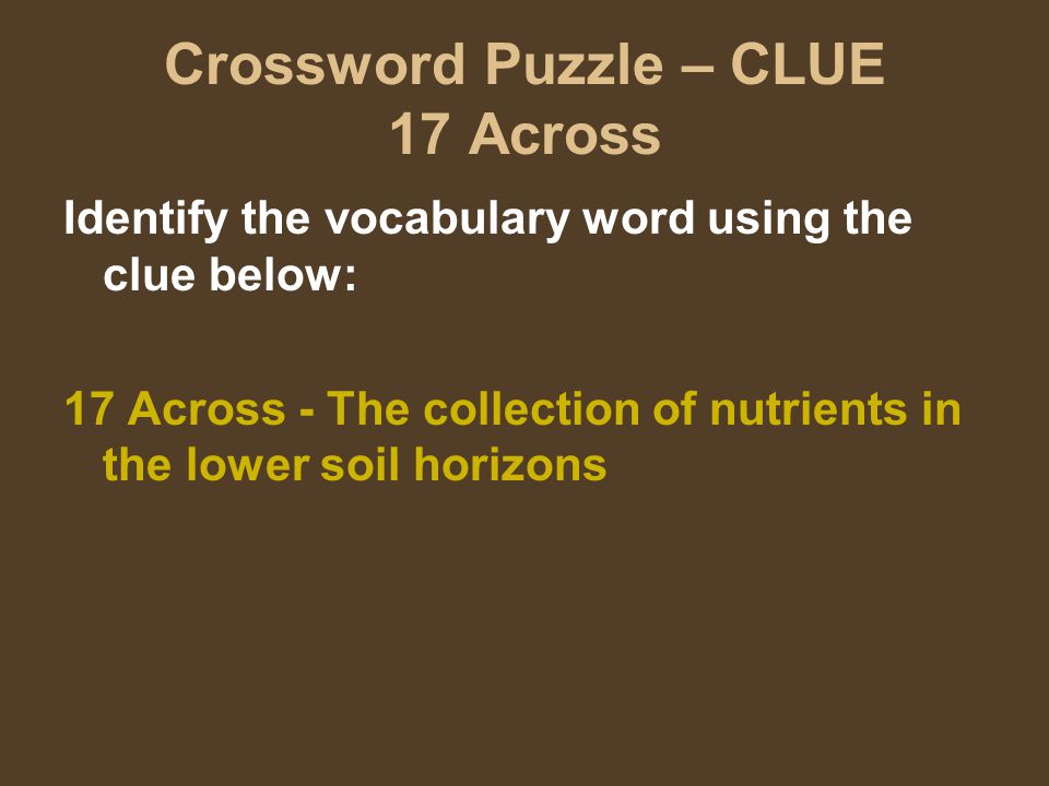 Crossword Puzzle – CLUE 17 Across Identify the vocabulary word using the clue below: 17 Across - The collection of nutrients in the lower soil horizons
