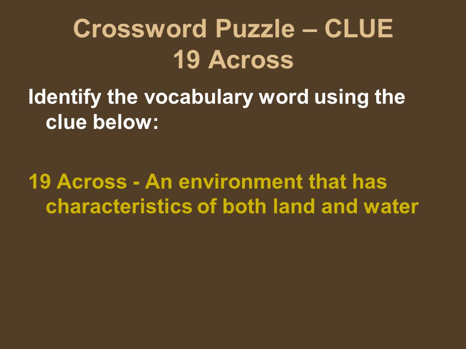 Crossword Puzzle – CLUE 19 Across Identify the vocabulary word using the clue below: 19 Across - An environment that has characteristics of both land and water