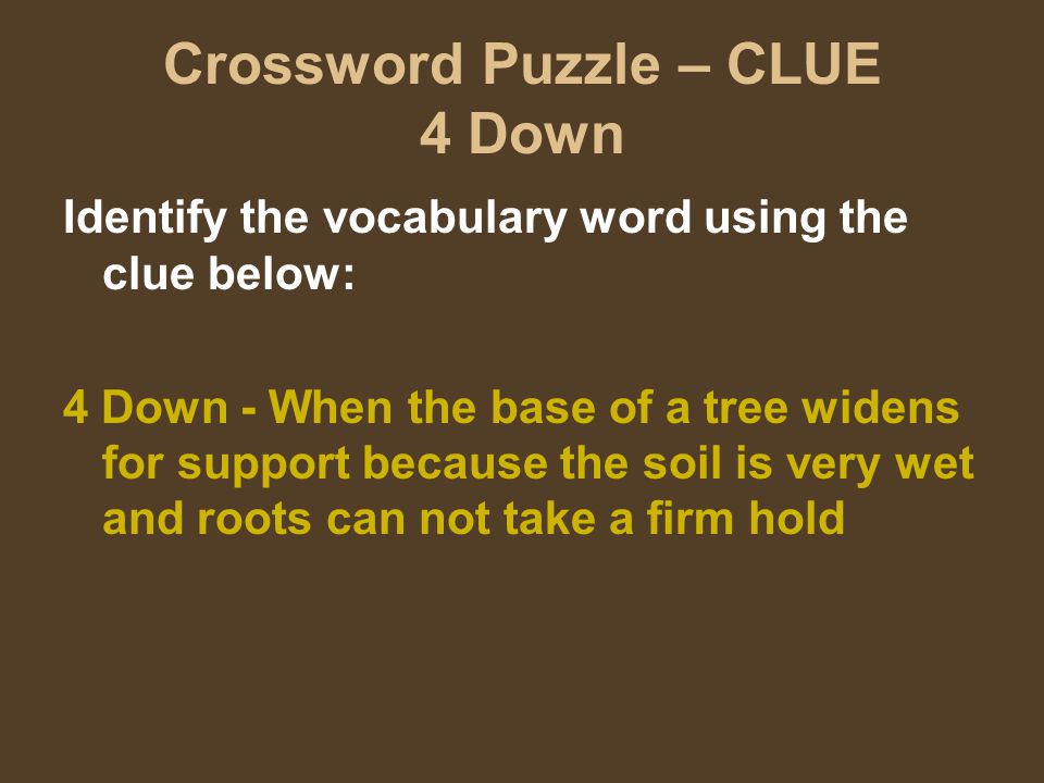 Crossword Puzzle – CLUE 4 Down Identify the vocabulary word using the clue below: 4 Down - When the base of a tree widens for support because the soil is very wet and roots can not take a firm hold