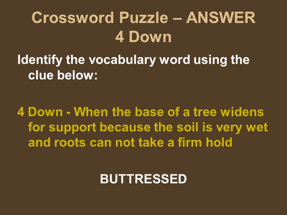 Crossword Puzzle – ANSWER 4 Down Identify the vocabulary word using the clue below: 4 Down - When the base of a tree widens for support because the soil is very wet and roots can not take a firm hold BUTTRESSED