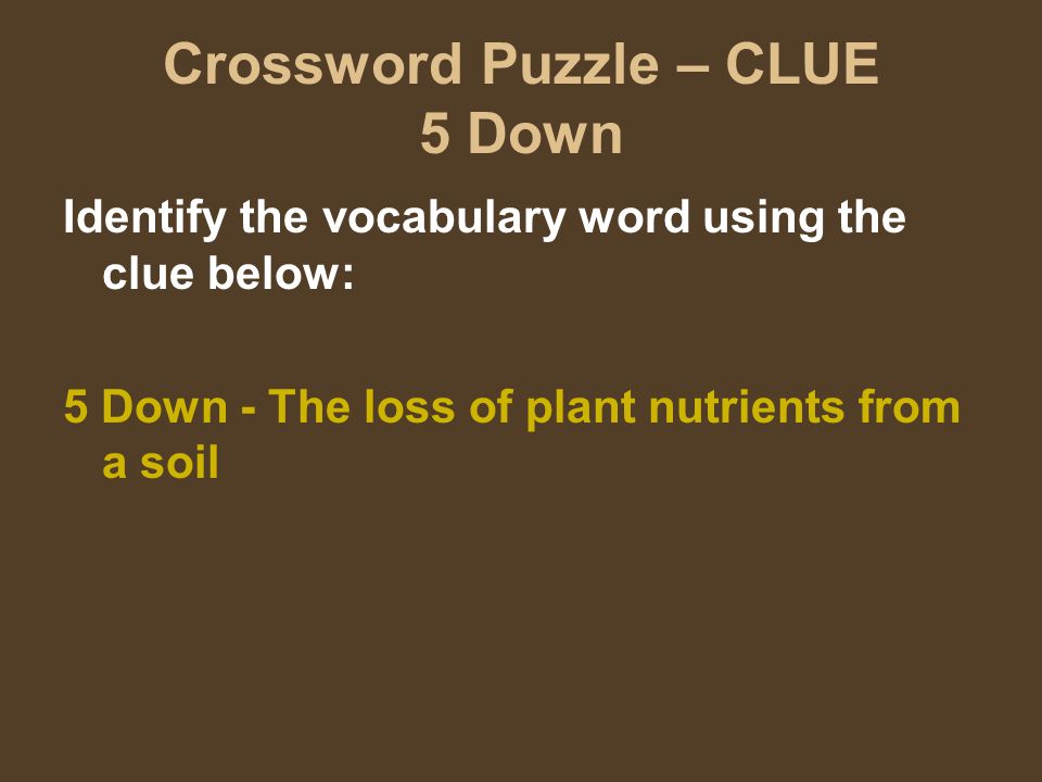Crossword Puzzle – CLUE 5 Down Identify the vocabulary word using the clue below: 5 Down - The loss of plant nutrients from a soil