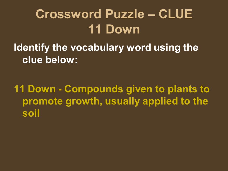 Crossword Puzzle – CLUE 11 Down Identify the vocabulary word using the clue below: 11 Down - Compounds given to plants to promote growth, usually applied to the soil