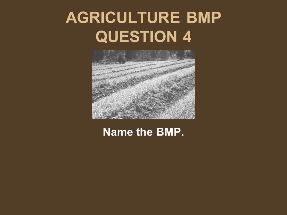 AGRICULTURE BMP QUESTION 4 Name the BMP.