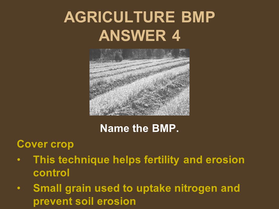 AGRICULTURE BMP ANSWER 4 Name the BMP.