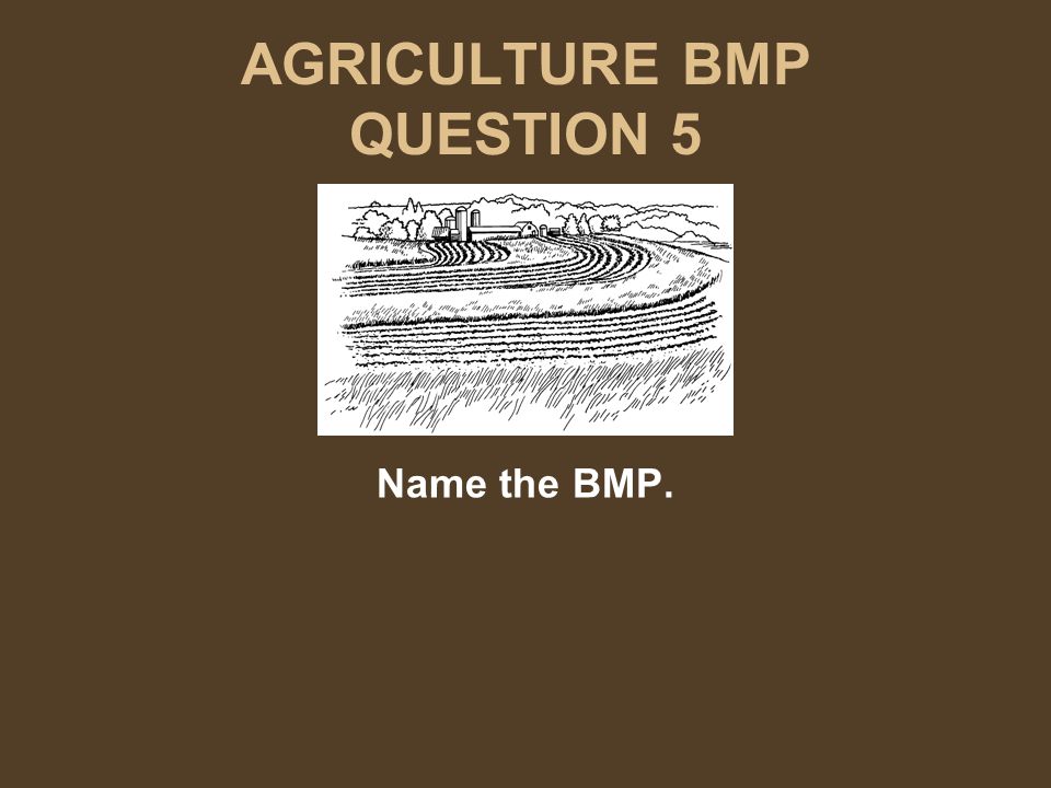 AGRICULTURE BMP QUESTION 5 Name the BMP.